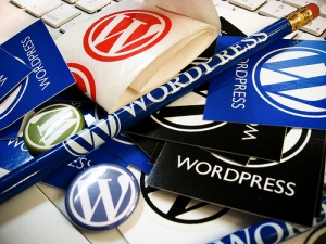 wordpress optimization